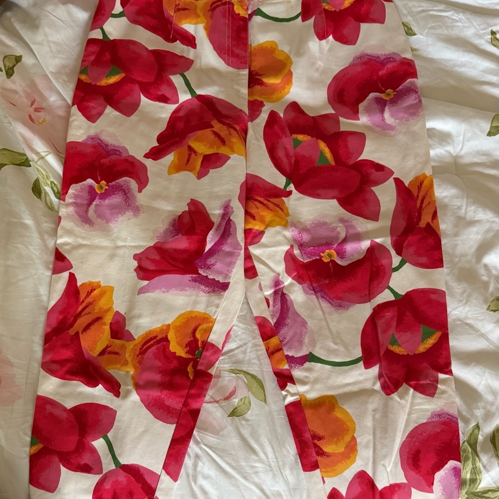 Susan Bristol Pink and Red Floral Pants Size 16